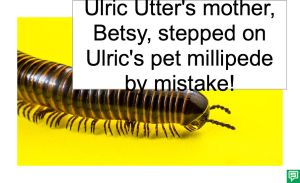 ULRC UTTER'S PET MILLIPEDE