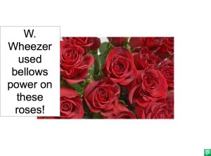 HEALTHY ROSES AFTER USING BELLOWS POWER